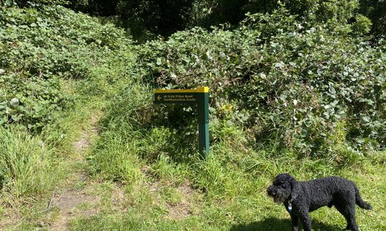 Tauherenikau Gorge Track, Wellington
