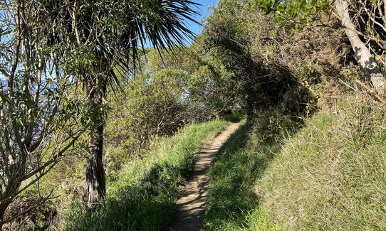 Tawatawa Trails, Wellington