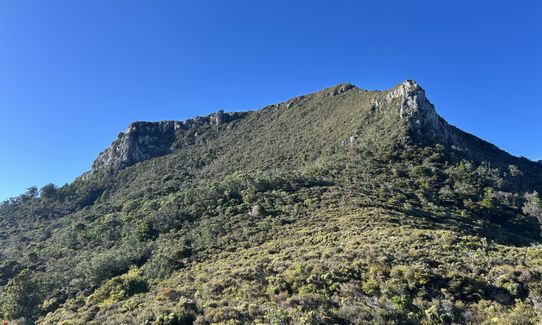 Te Ahumata Summit, Auckland
