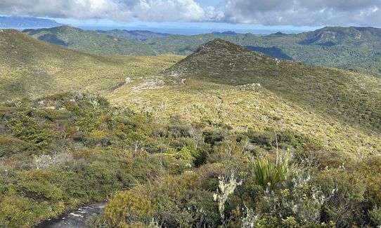 Te Ahumata Summit, Auckland