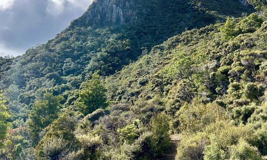 Te Ahumata Summit, Auckland