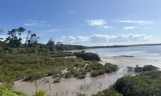 Te Ara ki Uta ki Tai, Auckland