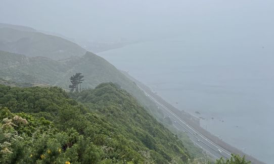  Te Ara Papararangi Views, Wellington