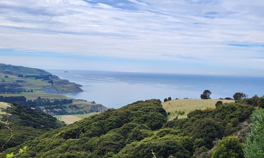 Te Ara Tawhai Tiromoana Bush trail loop, Canterbury