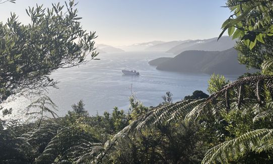 Te Ara Tuhuno Taster, Marlborough