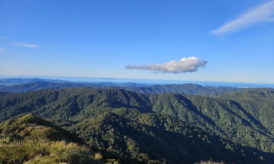 Te Aroha Summit Loop, Waikato