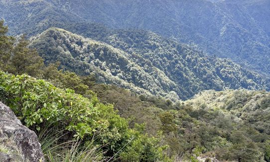 Te Aroha Summit Loop, Waikato