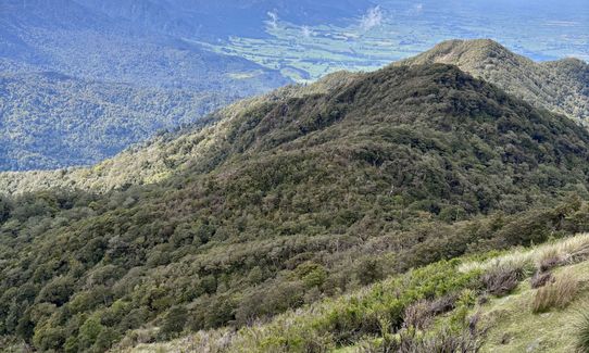 Te Aroha Summit Loop, Waikato
