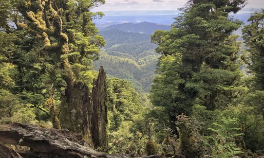 Te Iringa (Kaimanawas)