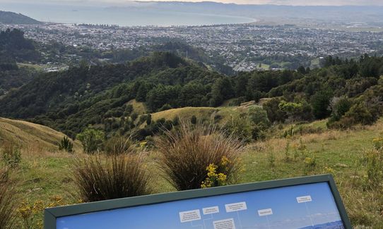 Te Kuri Farm walkway, Gisborne