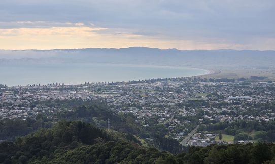 Te Kuri Farm walkway, Gisborne