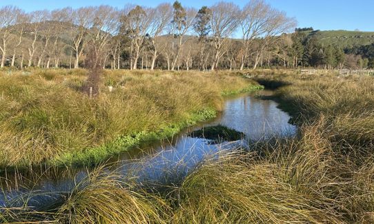 Te Kuru Connector, Canterbury