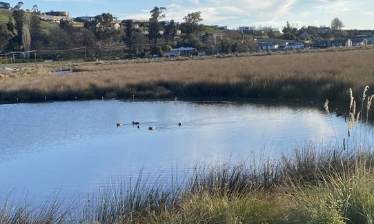 Te Kuru Connector, Canterbury