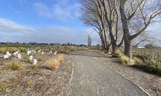 Te Kuru Wetland Tour, Canterbury