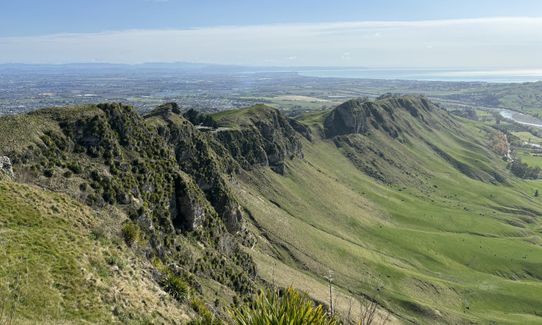 Te Mata Peak Giant Track, Hawkes Bay