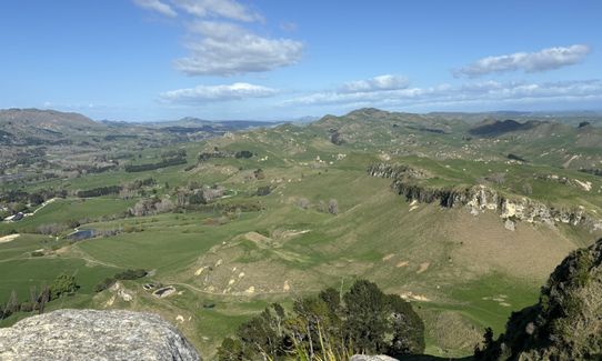 Te Mata Peak Giant Track, Hawkes Bay