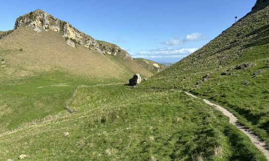 Te Mata Peak Giant Track, Hawkes Bay