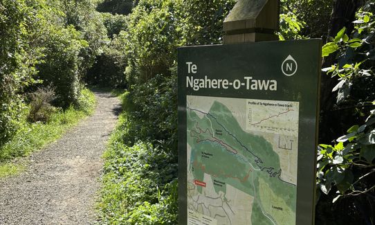 Te Ngahere-o-Tawa Loop, Wellington