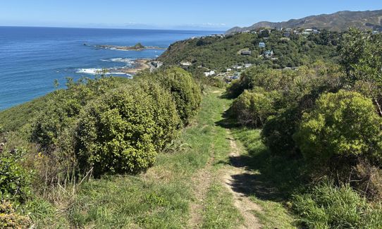 Te Raekaihau Point, Wellington