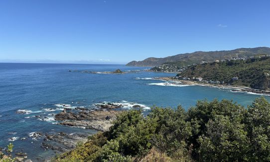 Te Raekaihau Point, Wellington