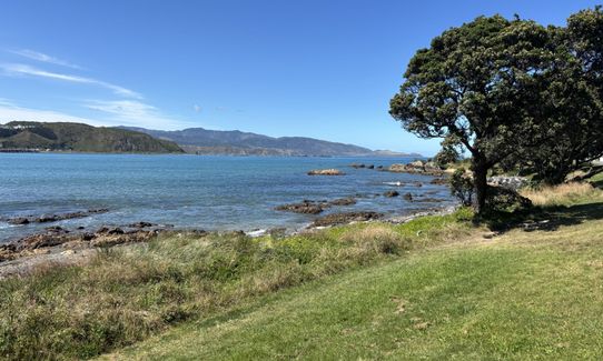 Te Raekaihau Point, Wellington