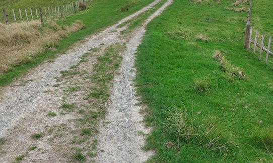 Te Rau Puriri Regional Park, Auckland