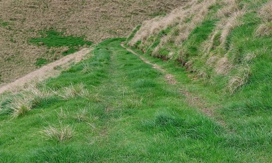 Te Rau Puriri Regional Park, Auckland