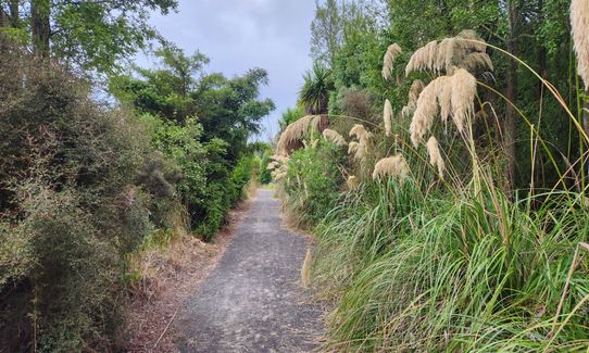 Te Waoku Kapuka - Pick up Styx, Canterbury