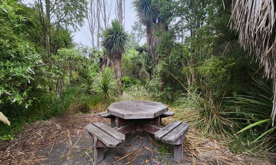 Te Waoku Kapuka - Pick up Styx, Canterbury