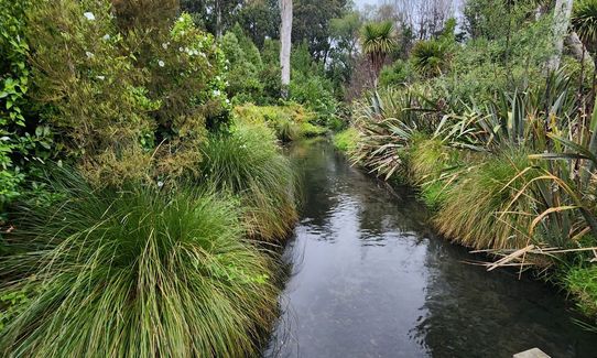 Te Waoku Kapuka - Pick up Styx, Canterbury