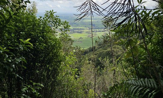 Te Whare Okioki & Mangamuka Huts Loop, Waikato
