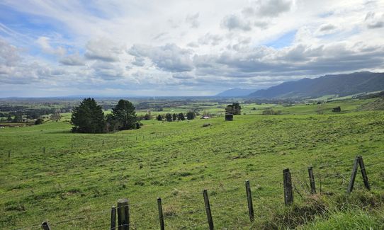 Te Whare Okioki & Mangamuka Huts Loop, Waikato