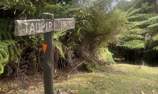 The Giants of Geraldine, Canterbury