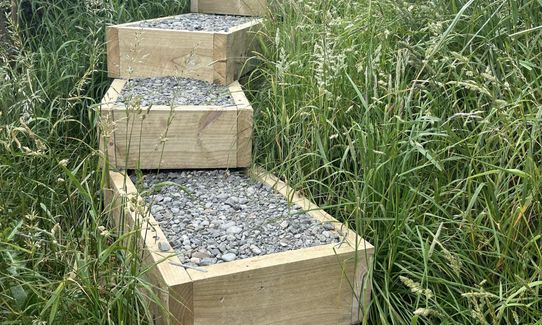 The Governator, Canterbury