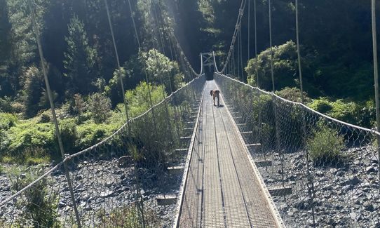 The Hacket, Tasman