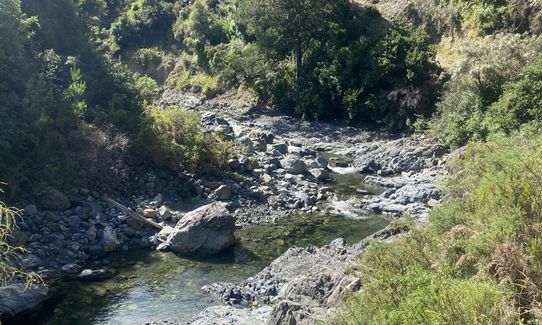 The Hacket, Tasman