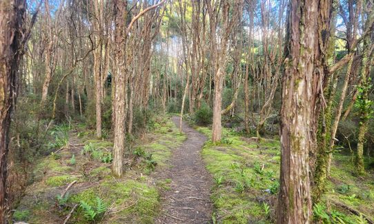The Tarawera Trail, Bay of Plenty