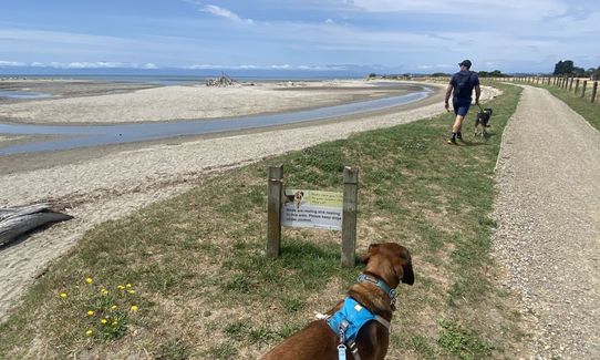 The Trails of Mot, Tasman