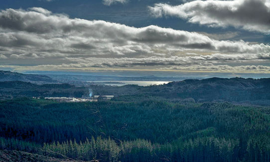 New Kakapiko Loop, Bay of Plenty