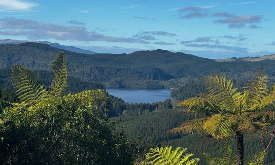 New Kakapiko Loop, Bay of Plenty