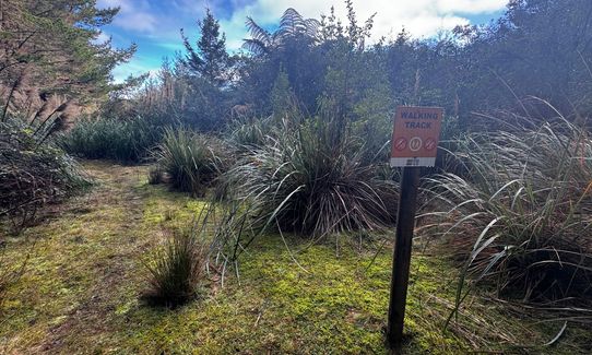 New Kakapiko Loop, Bay of Plenty