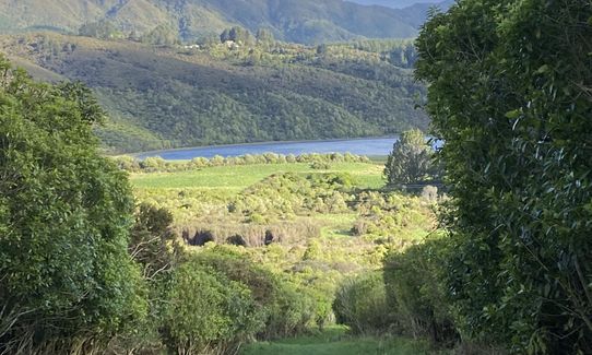 To Rivendell!, Wellington