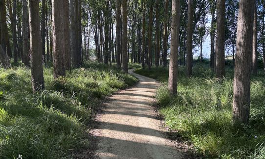 To the Puketapu Pub!, Hawkes Bay