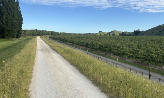 To the Puketapu Pub!, Hawkes Bay