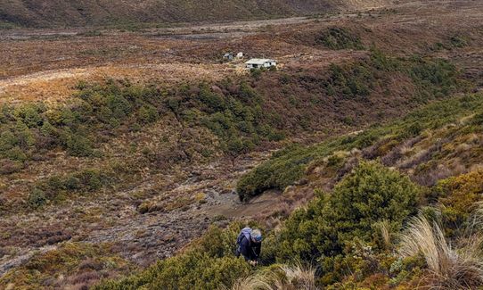 Tongariro Twist, Manawatu - Wanganui