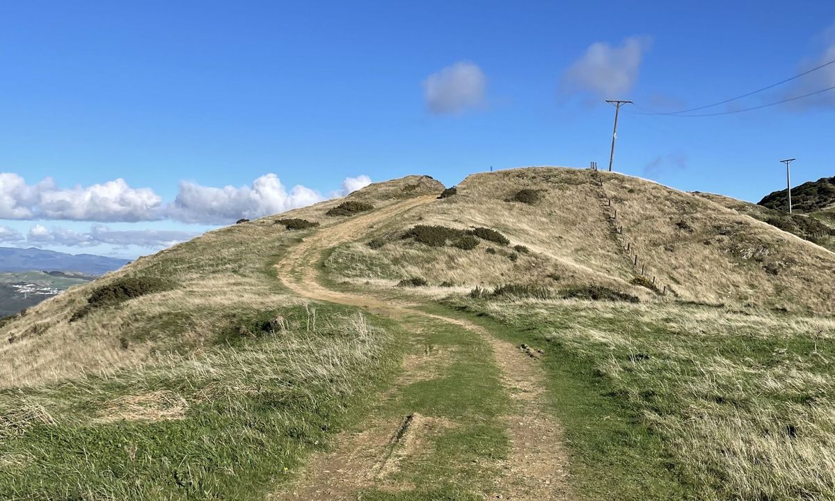 Colonial Knob - All the Hills, Wellington