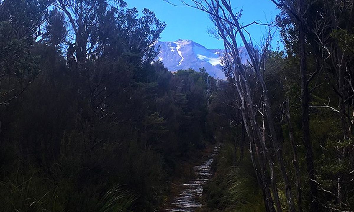 Blyth Hut and Beyond , Manawatu - Wanganui
