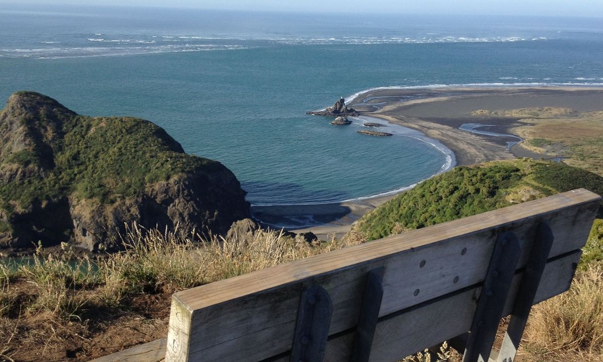 Wild Turkey  & Omanawanui, Auckland