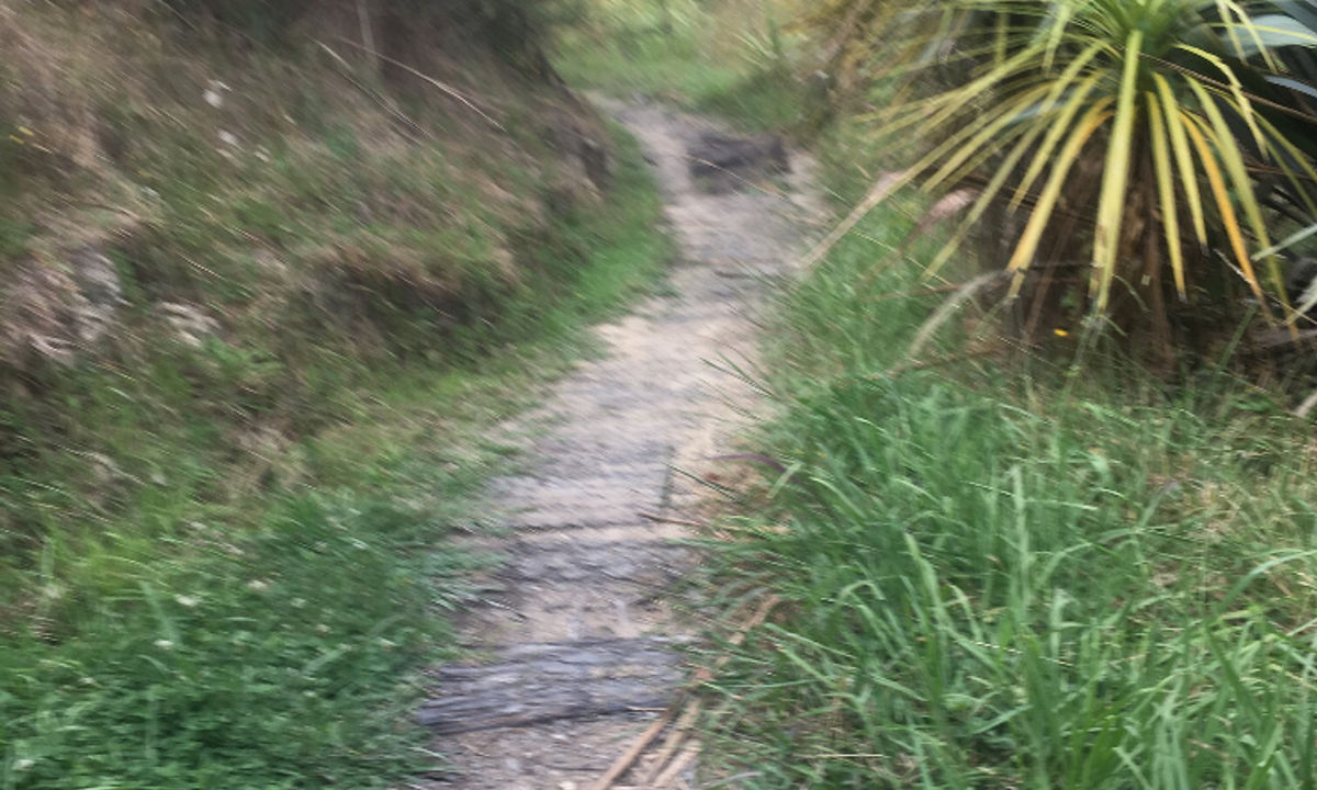 Mangemangeroa Track, Auckland