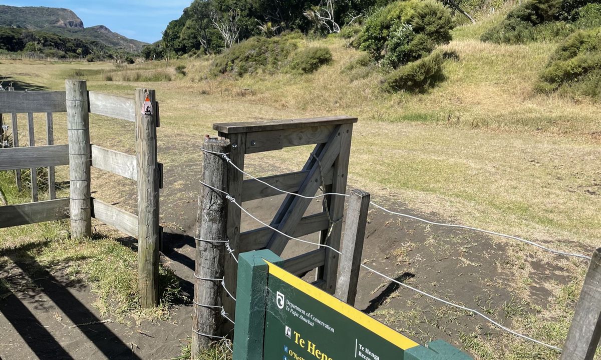 Te Henga Trail, Auckland
